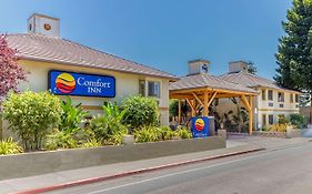 Comfort Inn Santa Cruz North