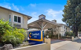 Comfort Inn Santa Cruz North